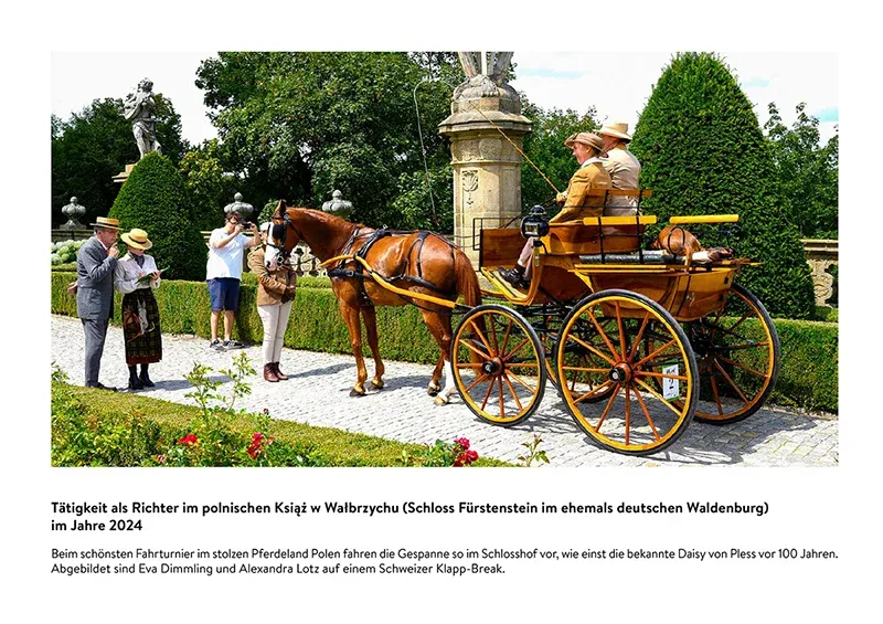 Andres Furger: Fahren und Forschen, mit und über Pferd und Wagen